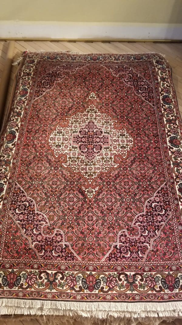 Image of 3X5 Persian Rug with Fish Swimming around the world design